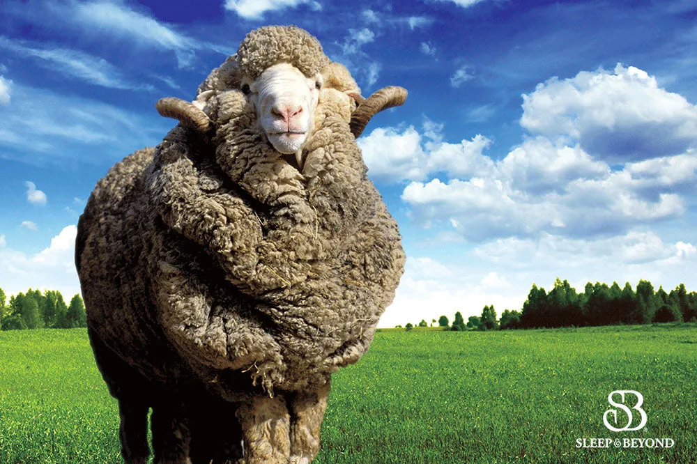 myMerino Organic Merino Wool Mattress Topper
